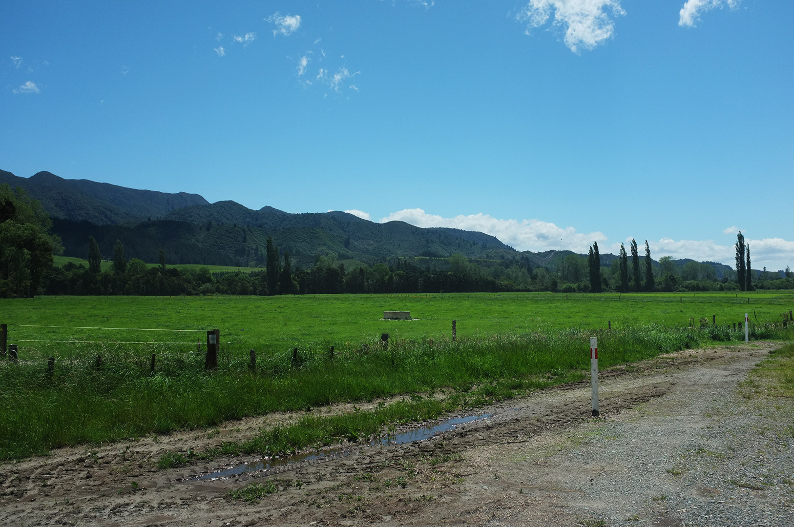 14 Hari Di New Zealand