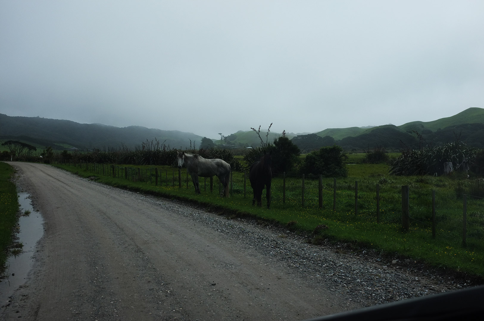 14 Hari Di New Zealand