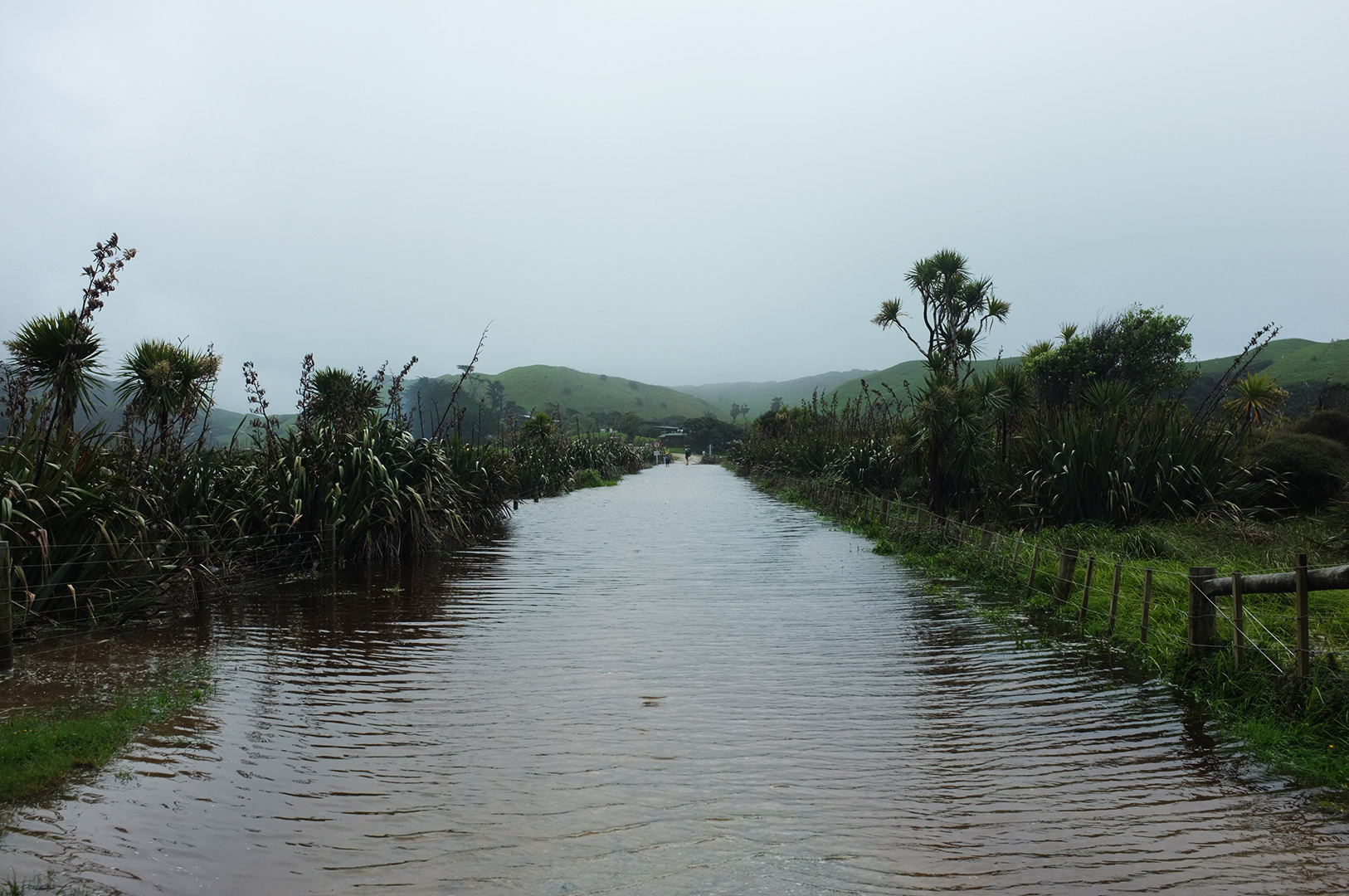 14 Hari Di New Zealand