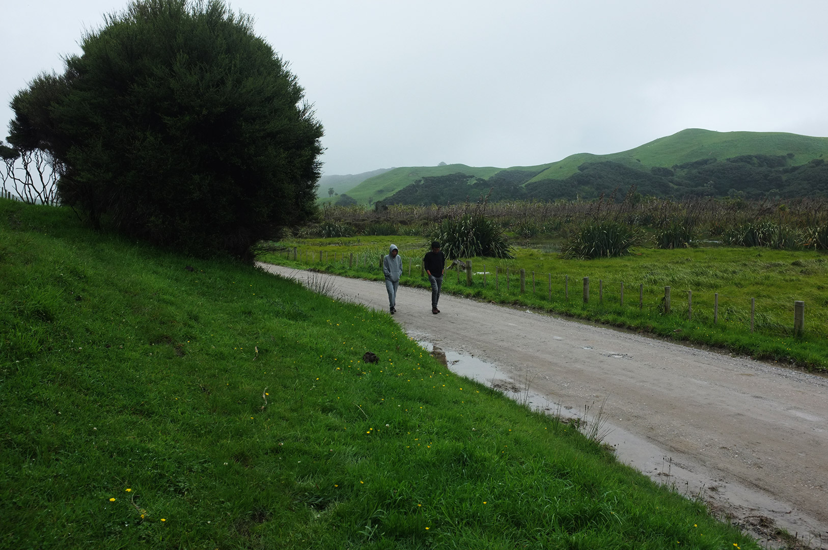 14 Hari Di New Zealand