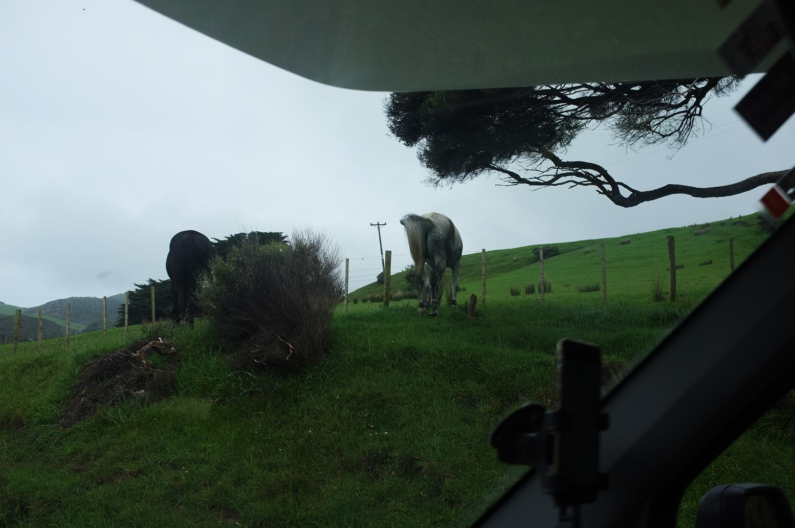 14 Hari Di New Zealand