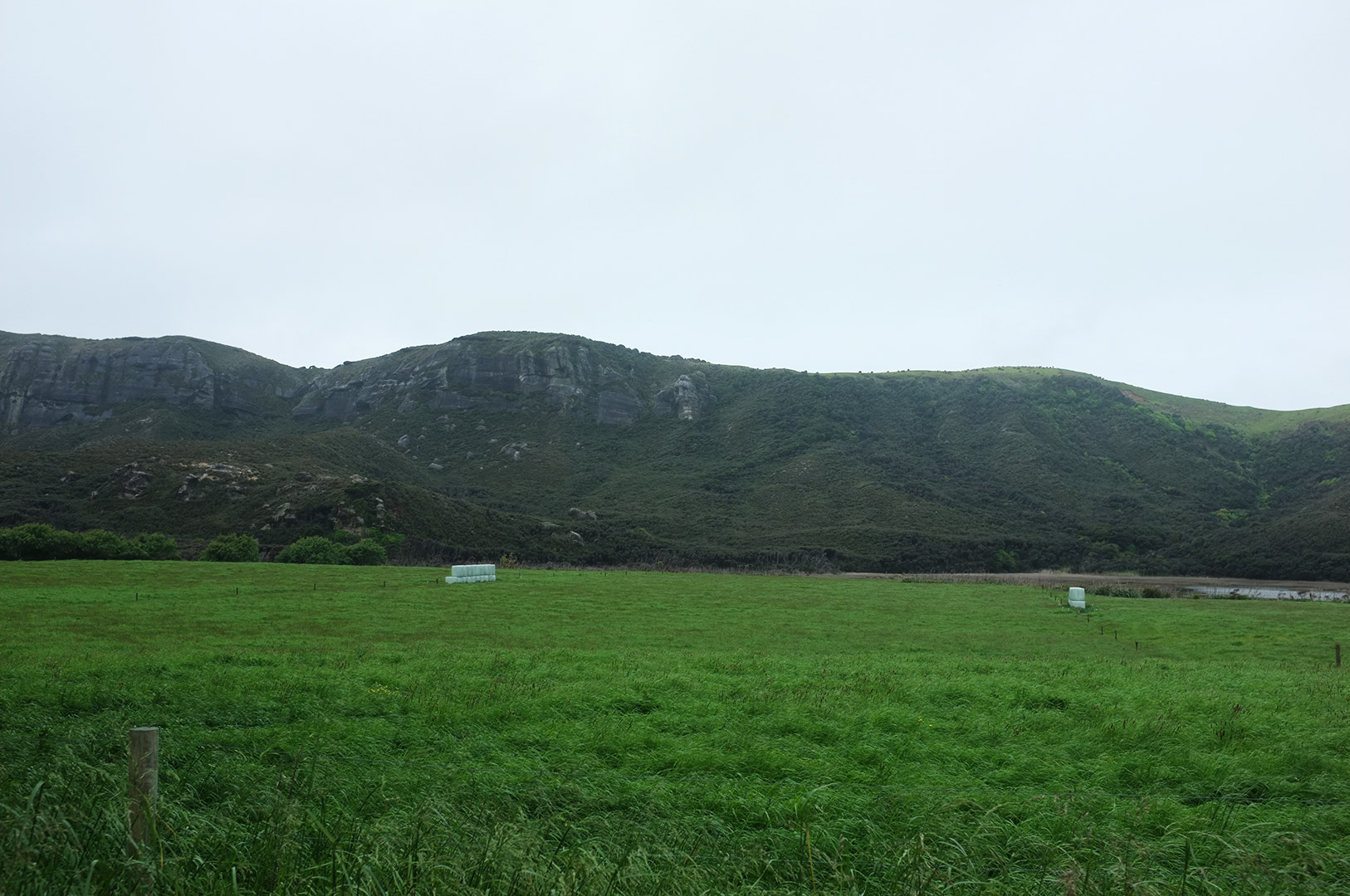 14 Hari Di New Zealand