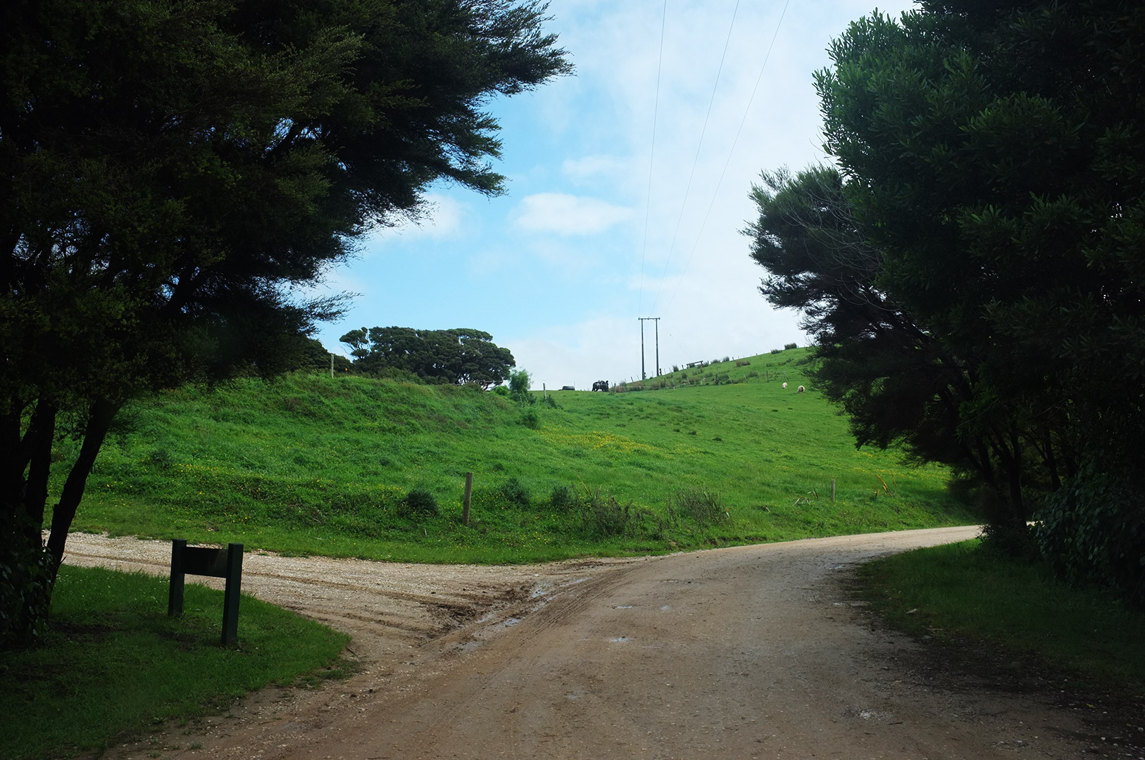 14 Hari Di New Zealand