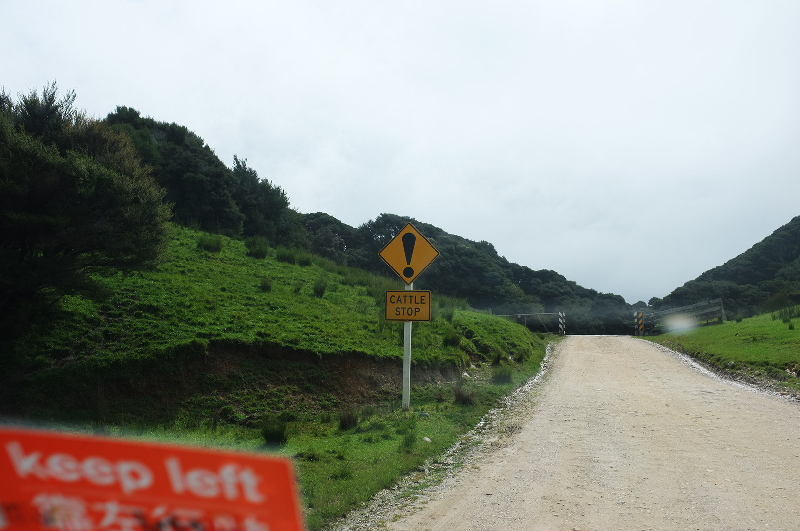 14 Hari Di New Zealand