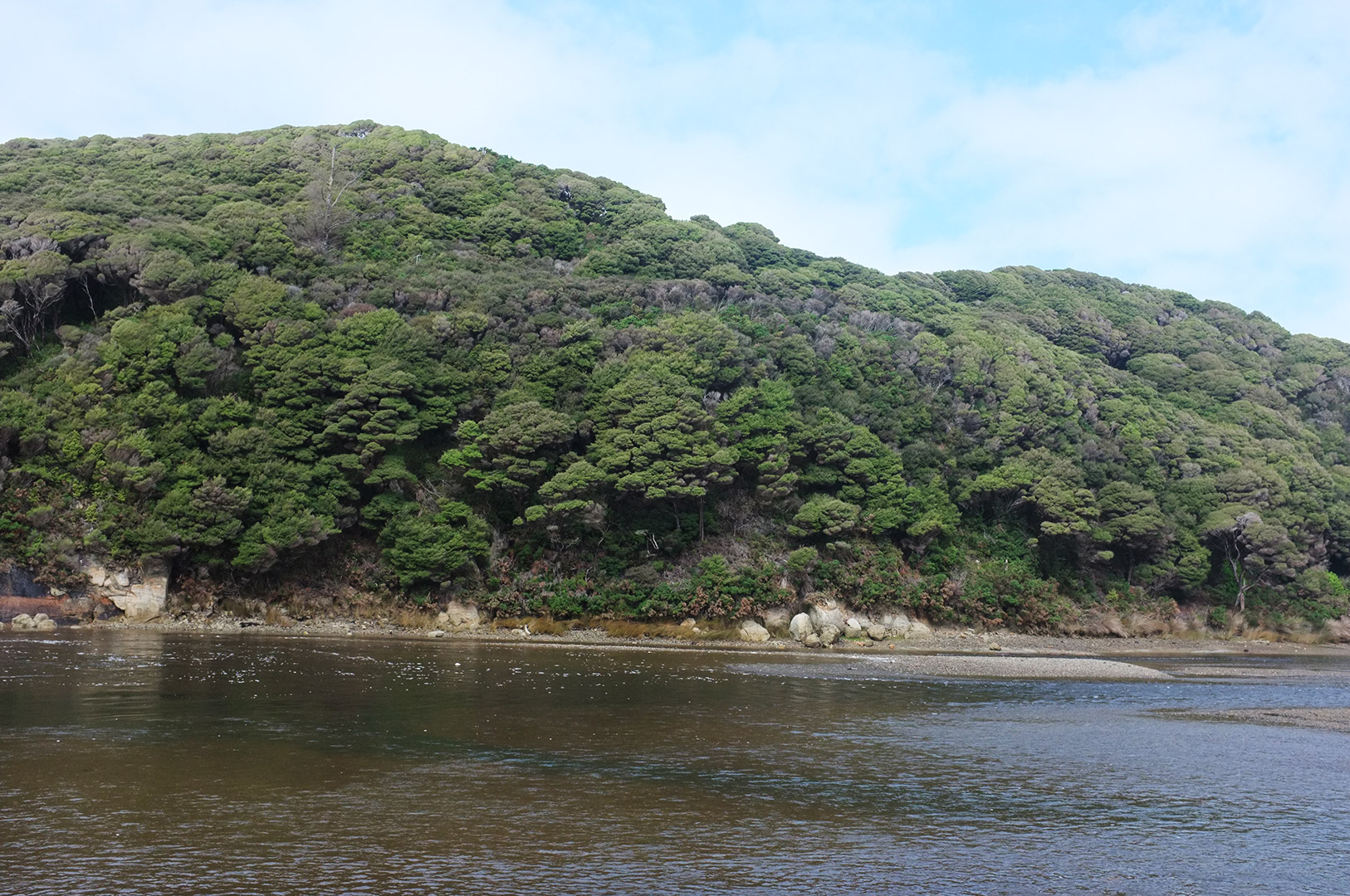 14 Hari Di New Zealand