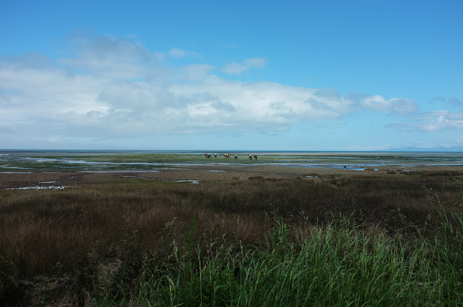 14 Hari Di New Zealand