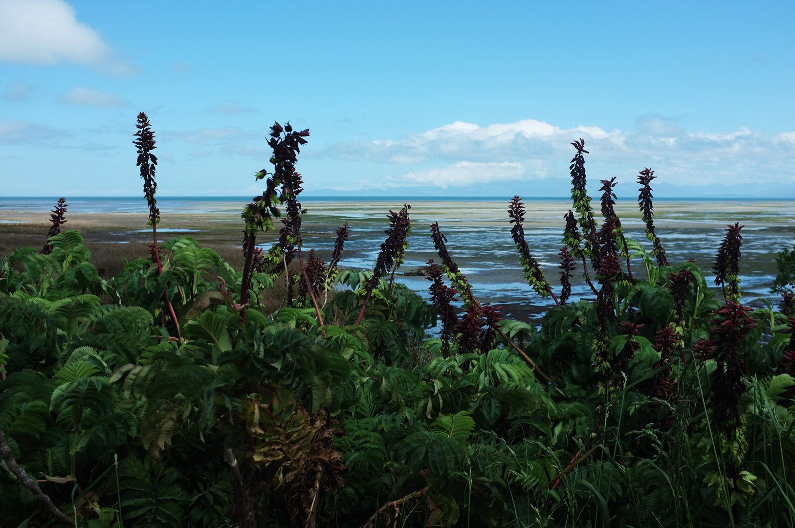 14 Hari Di New Zealand