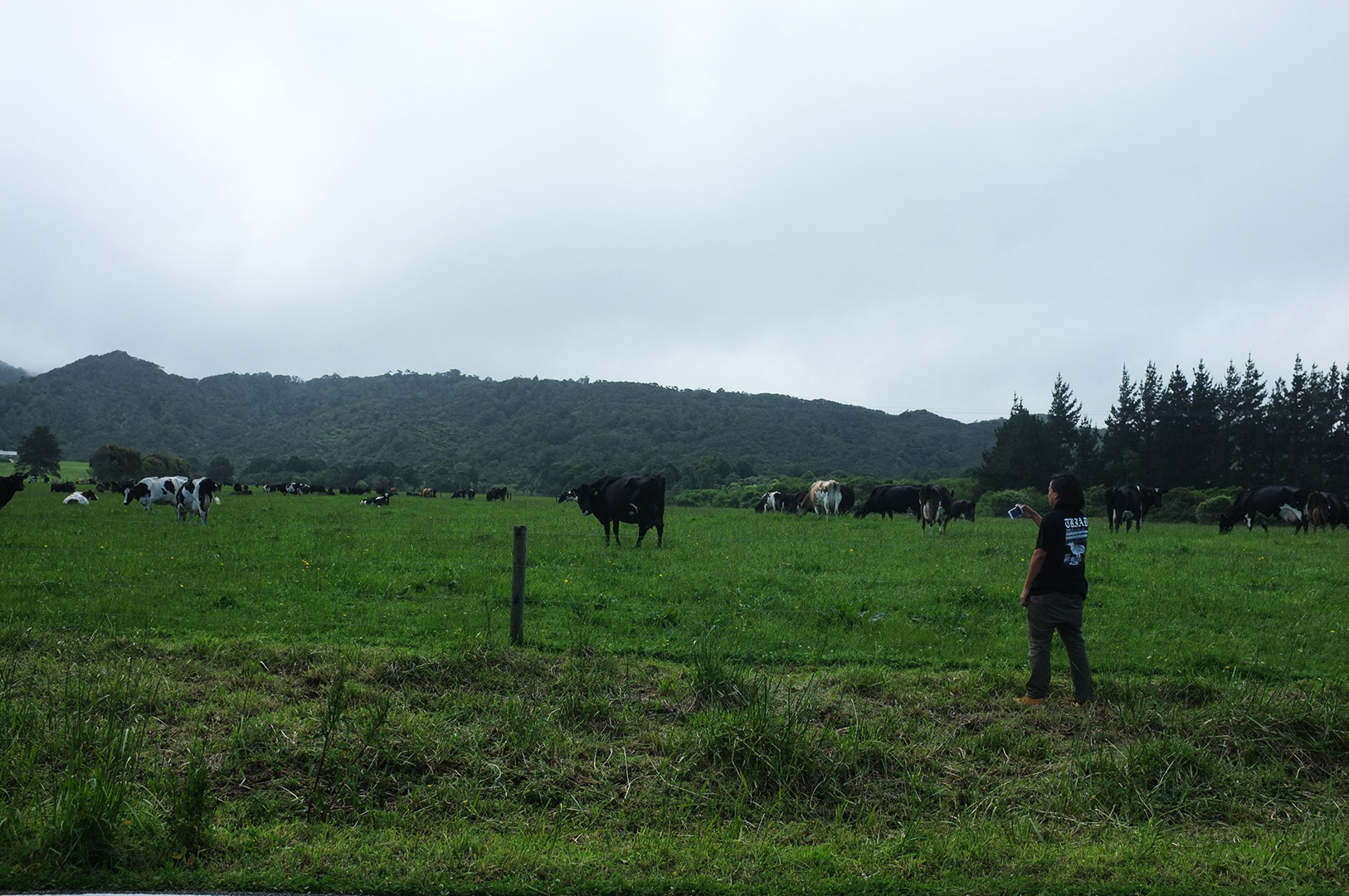 14 Hari Di New Zealand