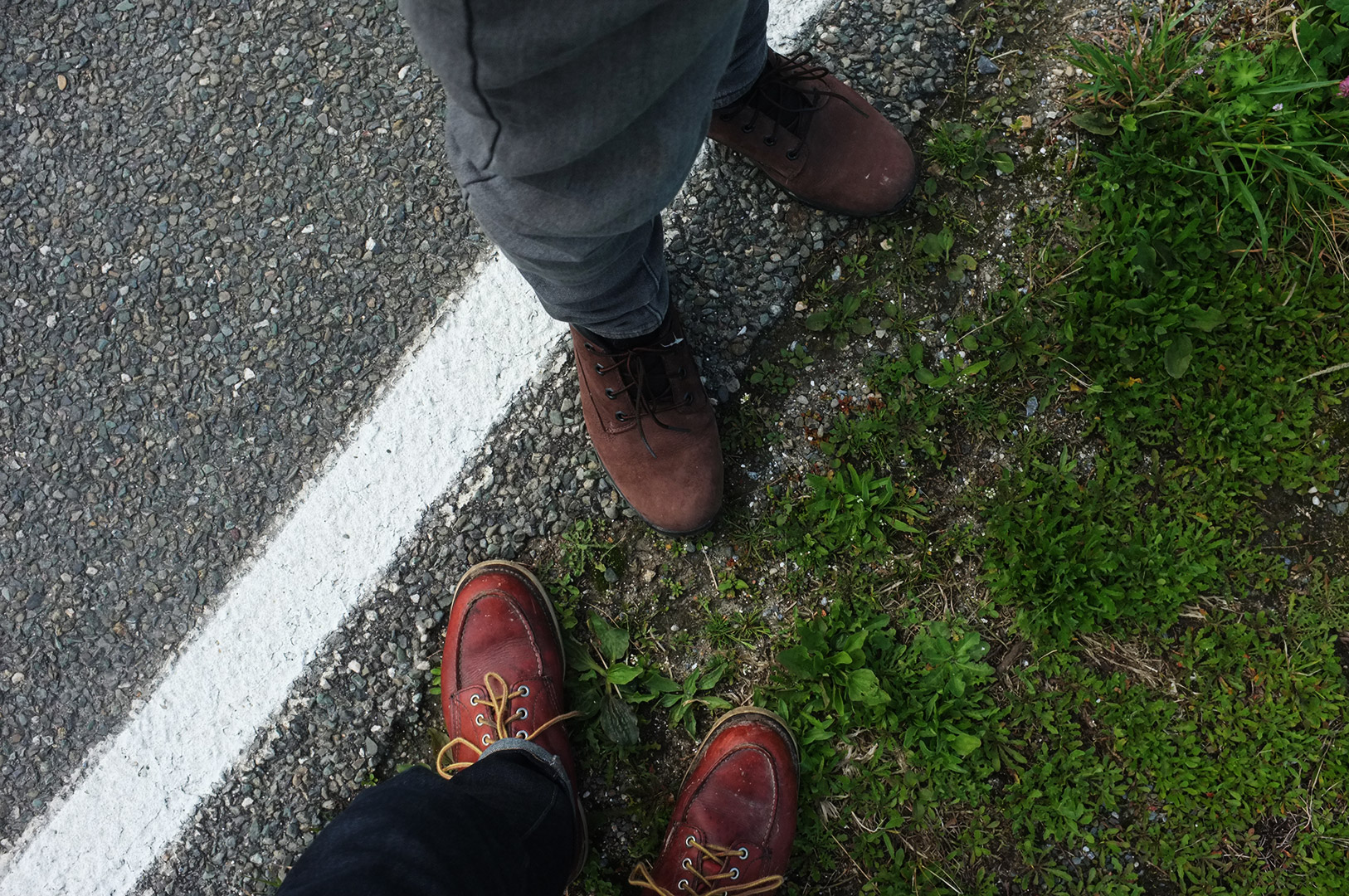 14 Hari Di New Zealand