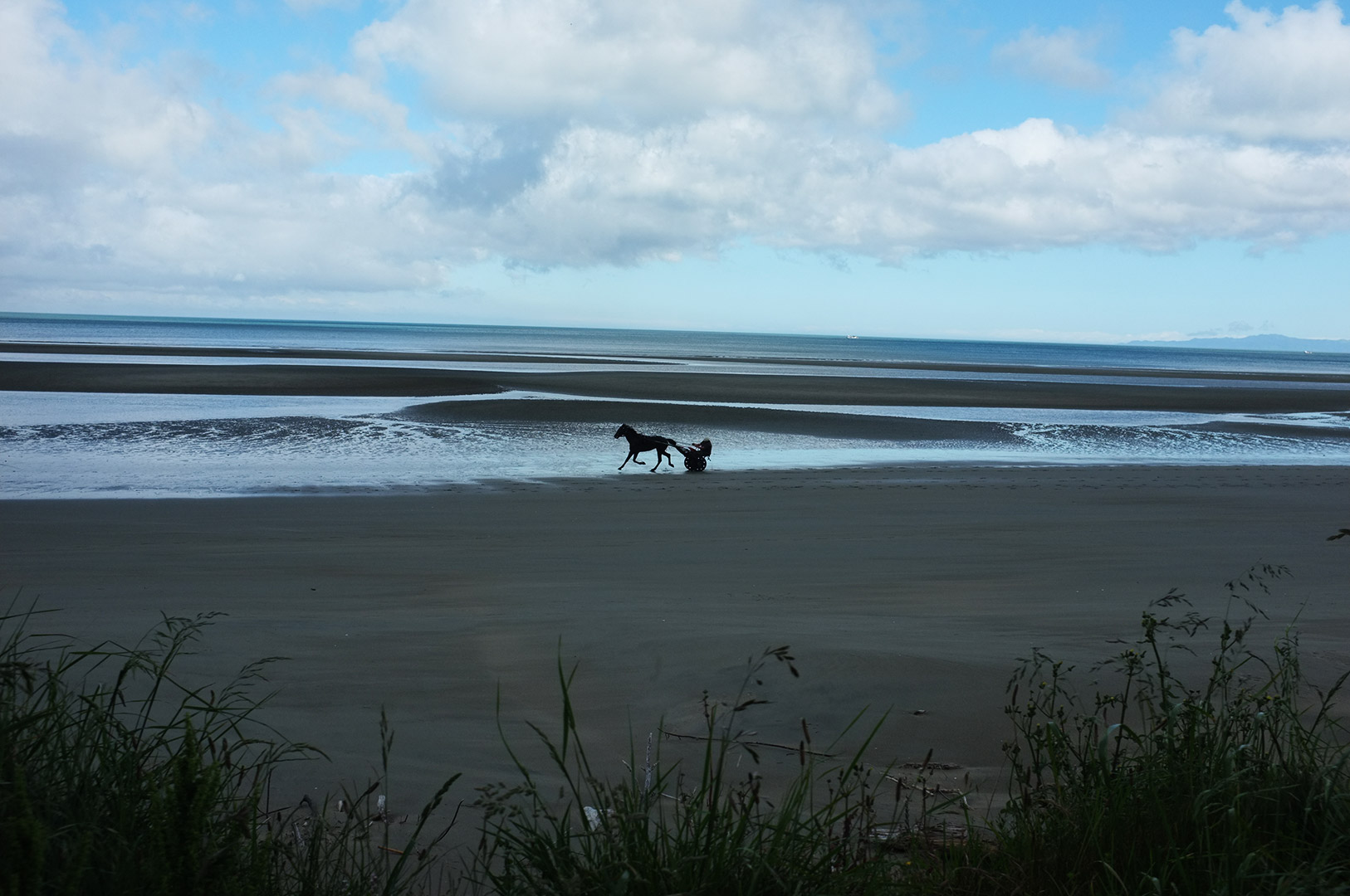 14 Hari Di New Zealand