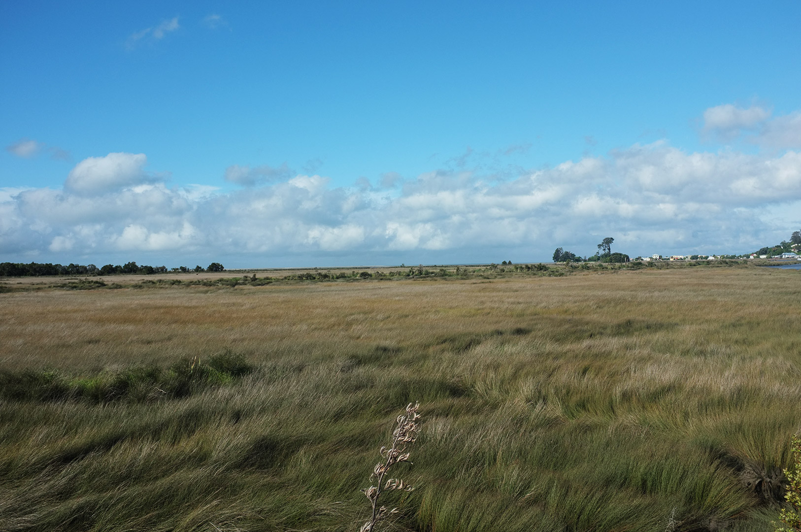 14 Hari Di New Zealand