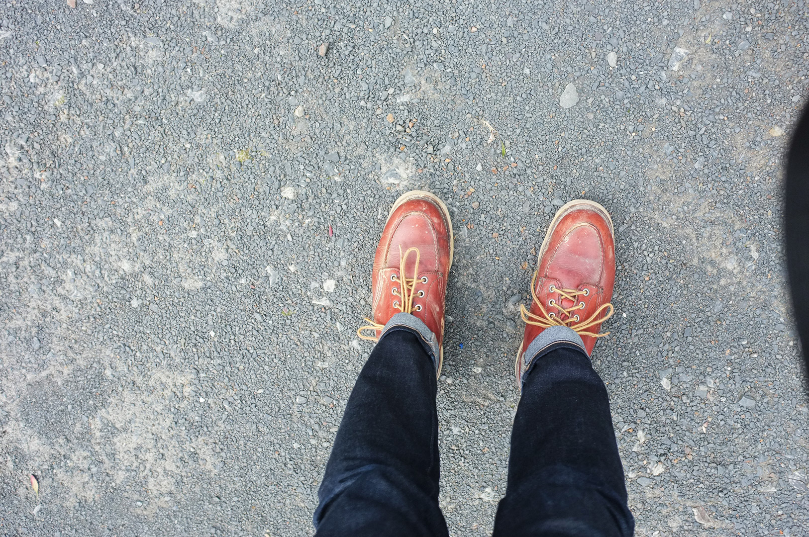 14 Hari Di New Zealand