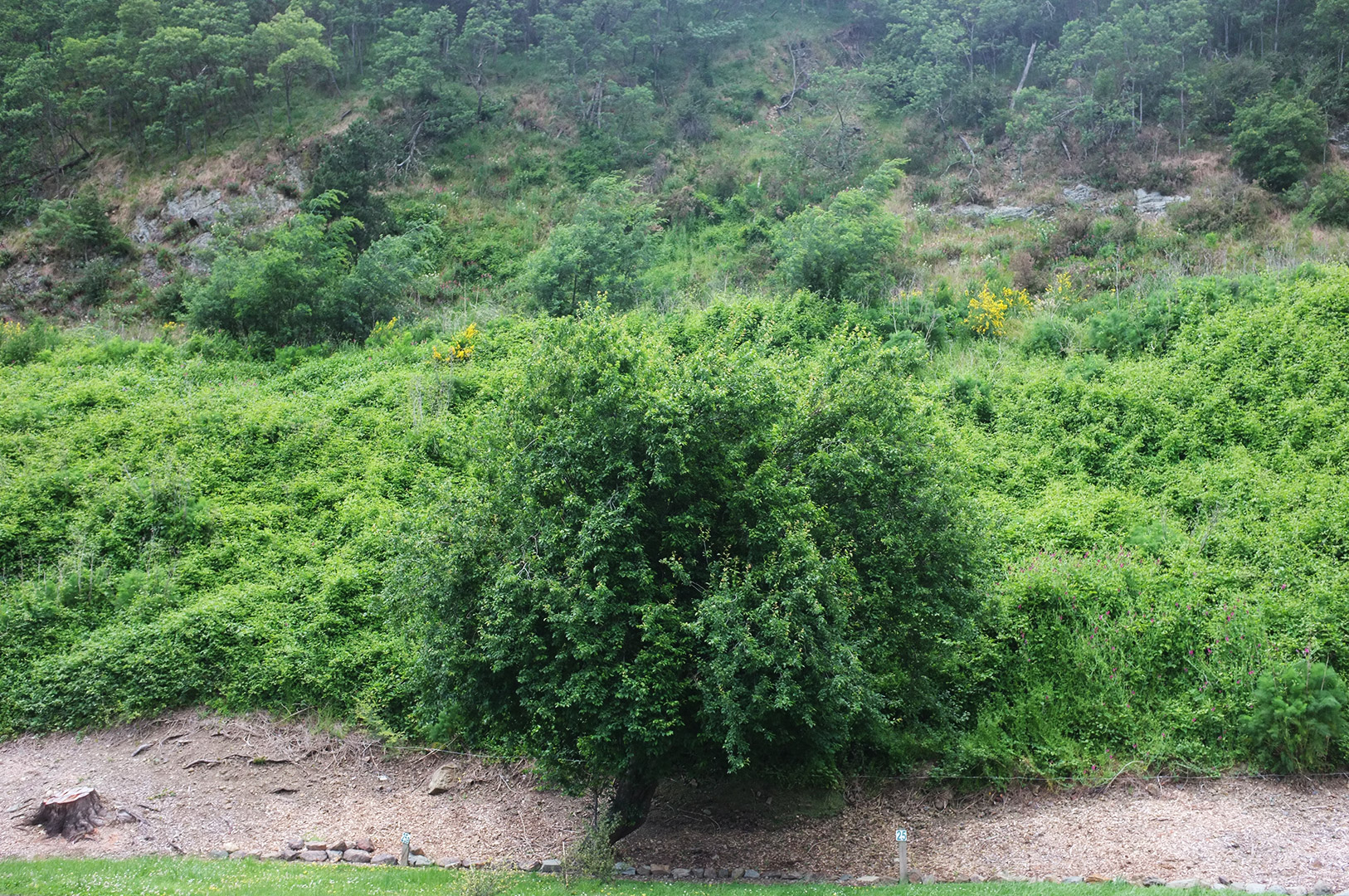 14 Hari Di New Zealand