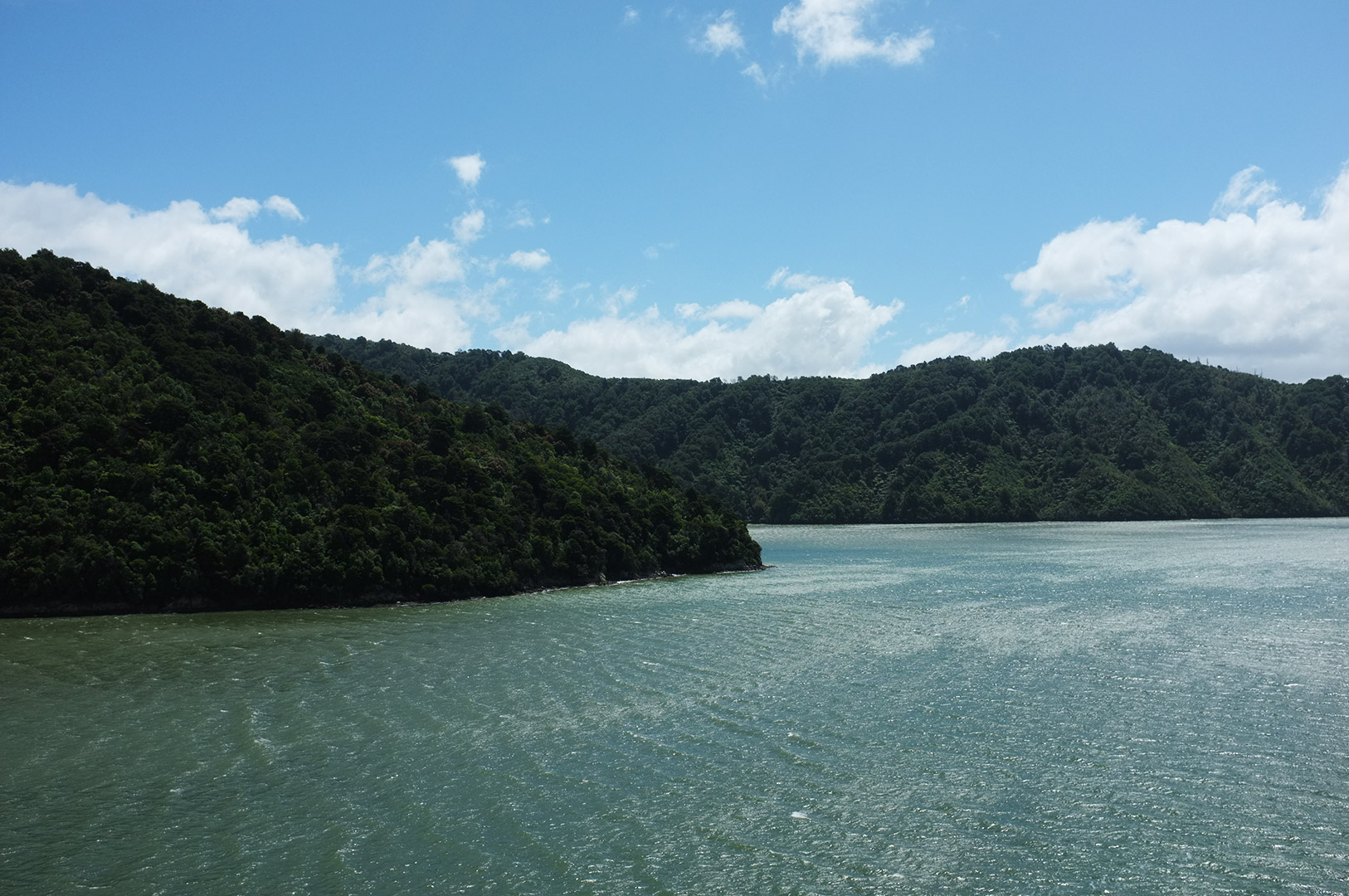 14 Hari Di New Zealand