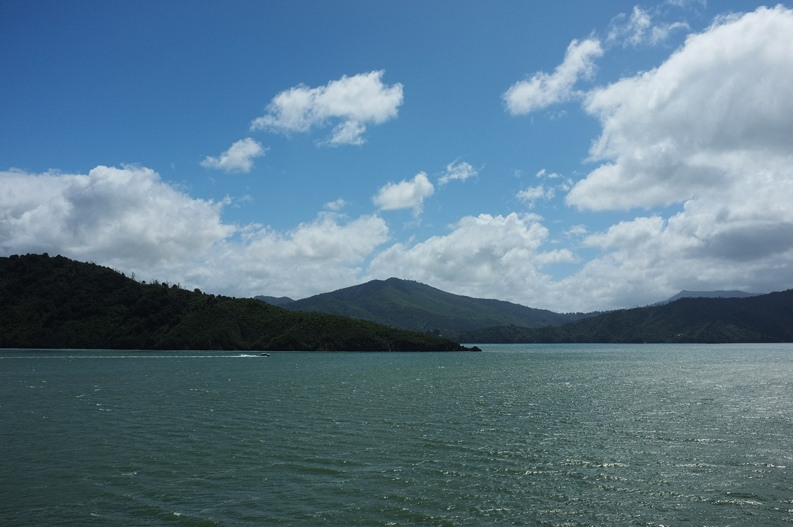 14 Hari Di New Zealand