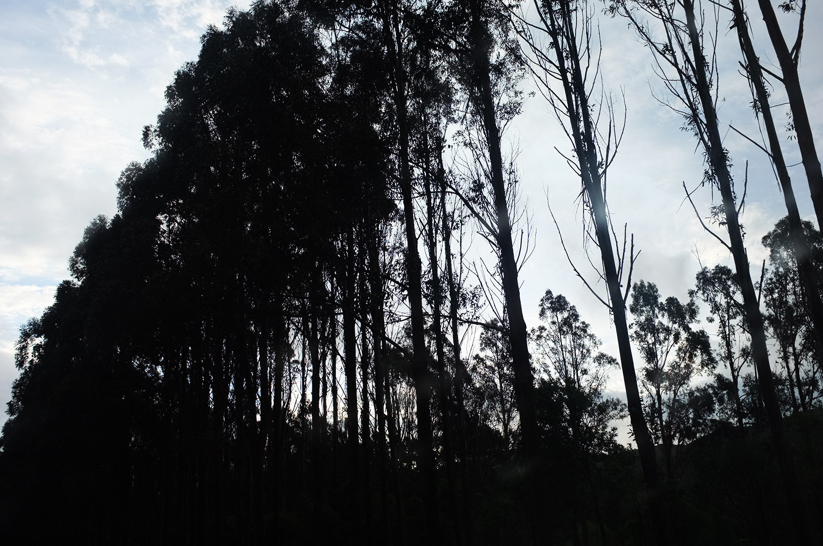 14 Hari Di New Zealand