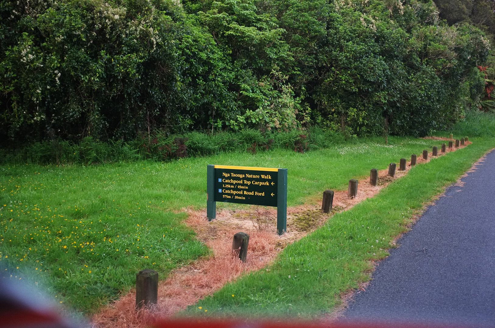 14 Hari Di New Zealand