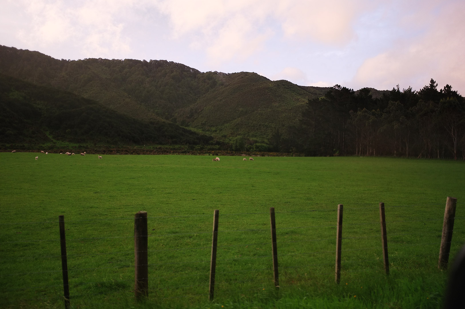 14 Hari Di New Zealand