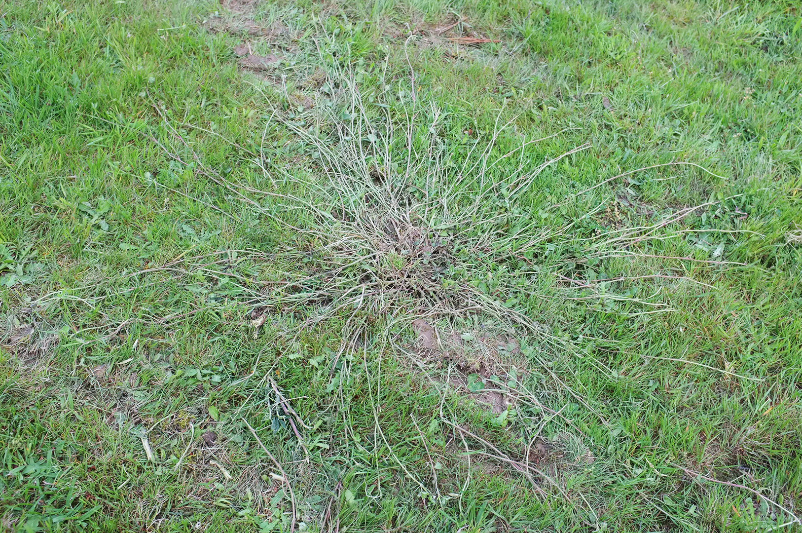 14 Hari Di New Zealand