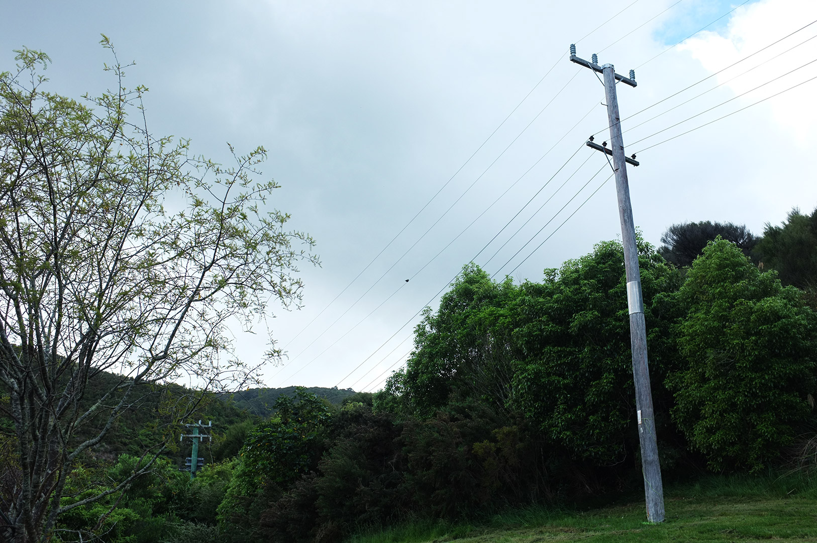 14 Hari Di New Zealand