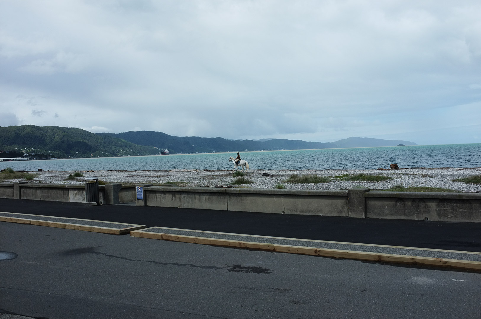 14 Hari Di New Zealand