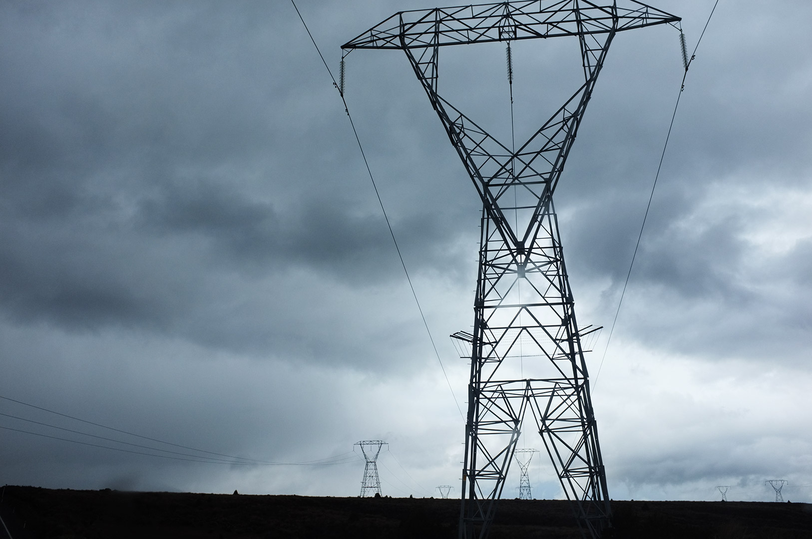 14 Hari Di New Zealand