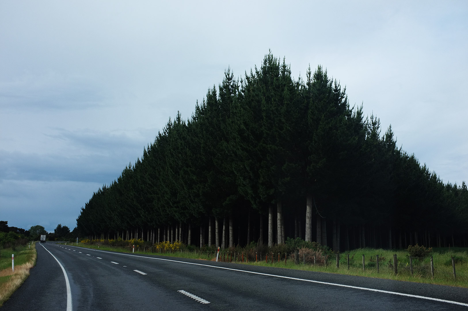 14 Hari Di New Zealand