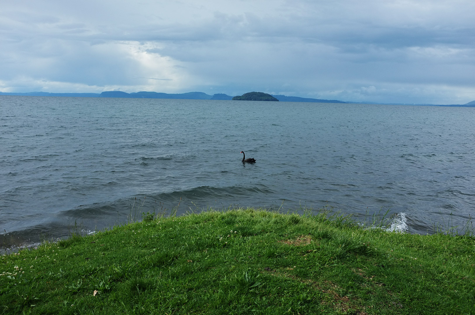 14 Hari Di New Zealand