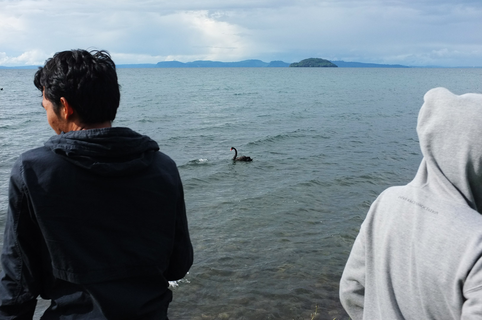 14 Hari Di New Zealand