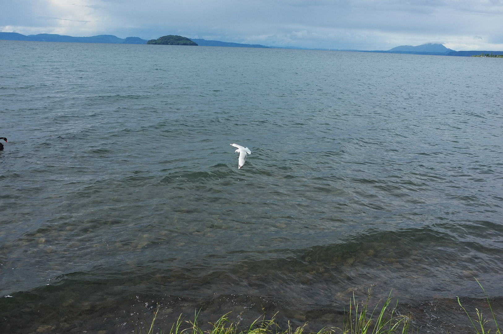 14 Hari Di New Zealand