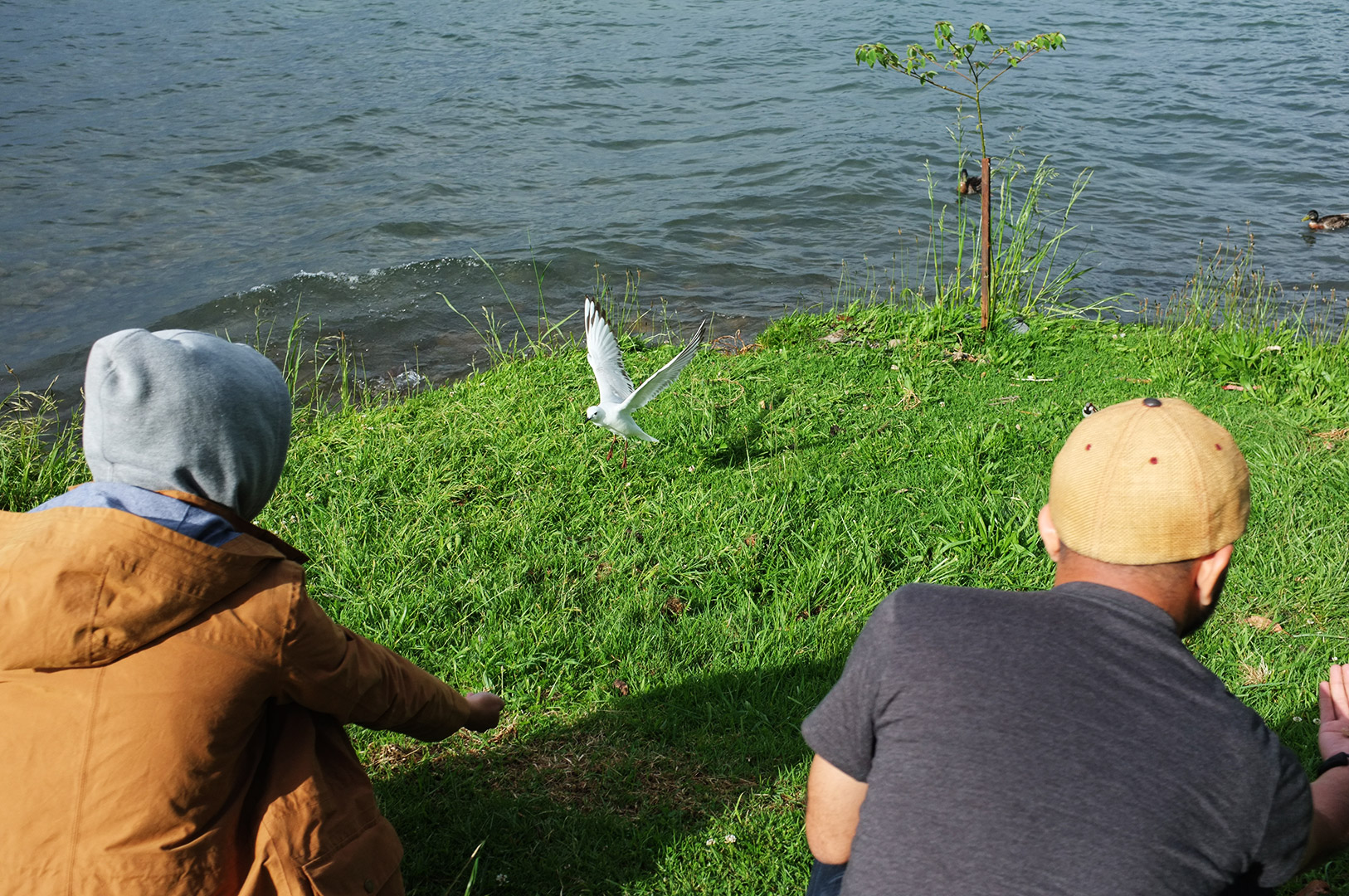 14 Hari Di New Zealand