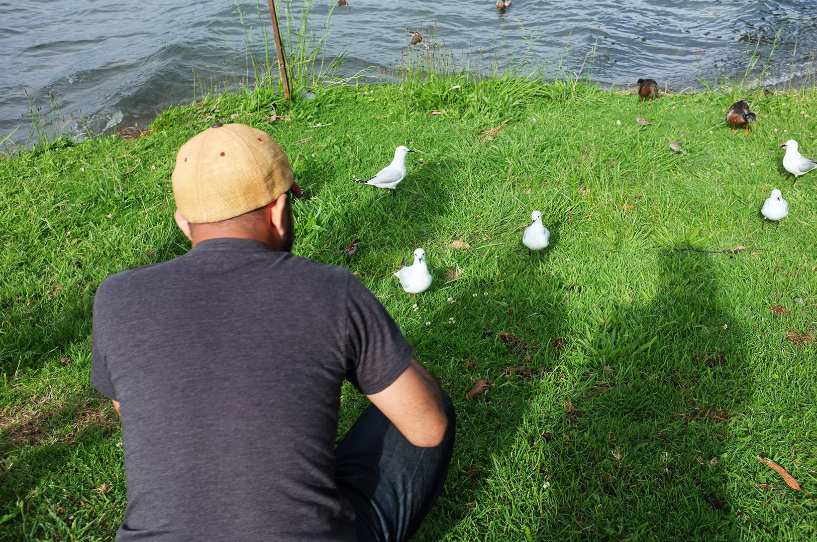 14 Hari Di New Zealand