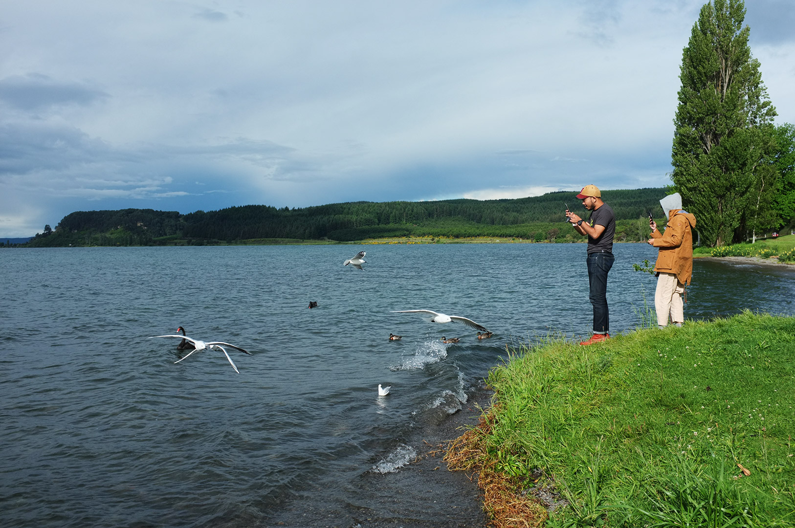 14 Hari Di New Zealand