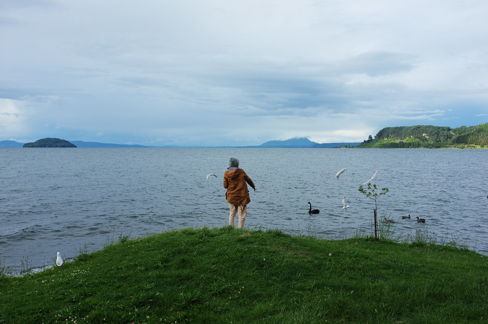 14 Hari Di New Zealand