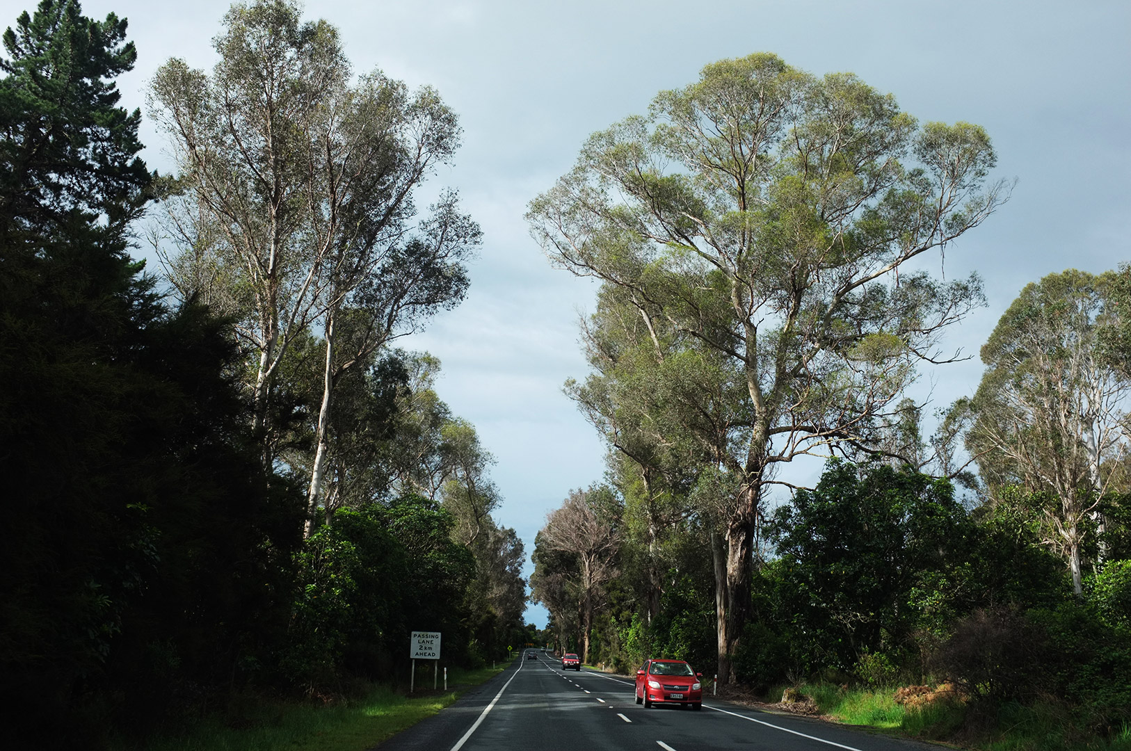 14 Hari Di New Zealand