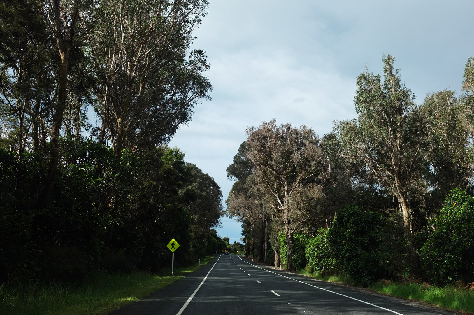 14 Hari Di New Zealand