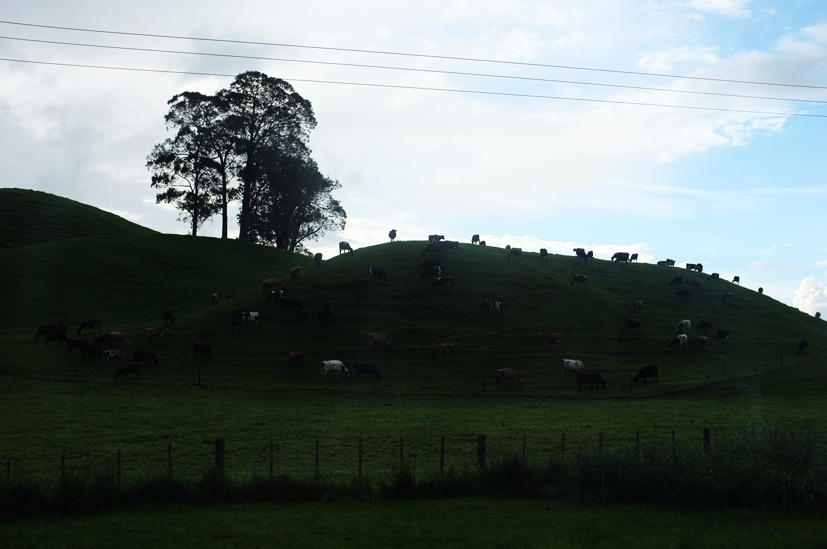 14 Hari Di New Zealand