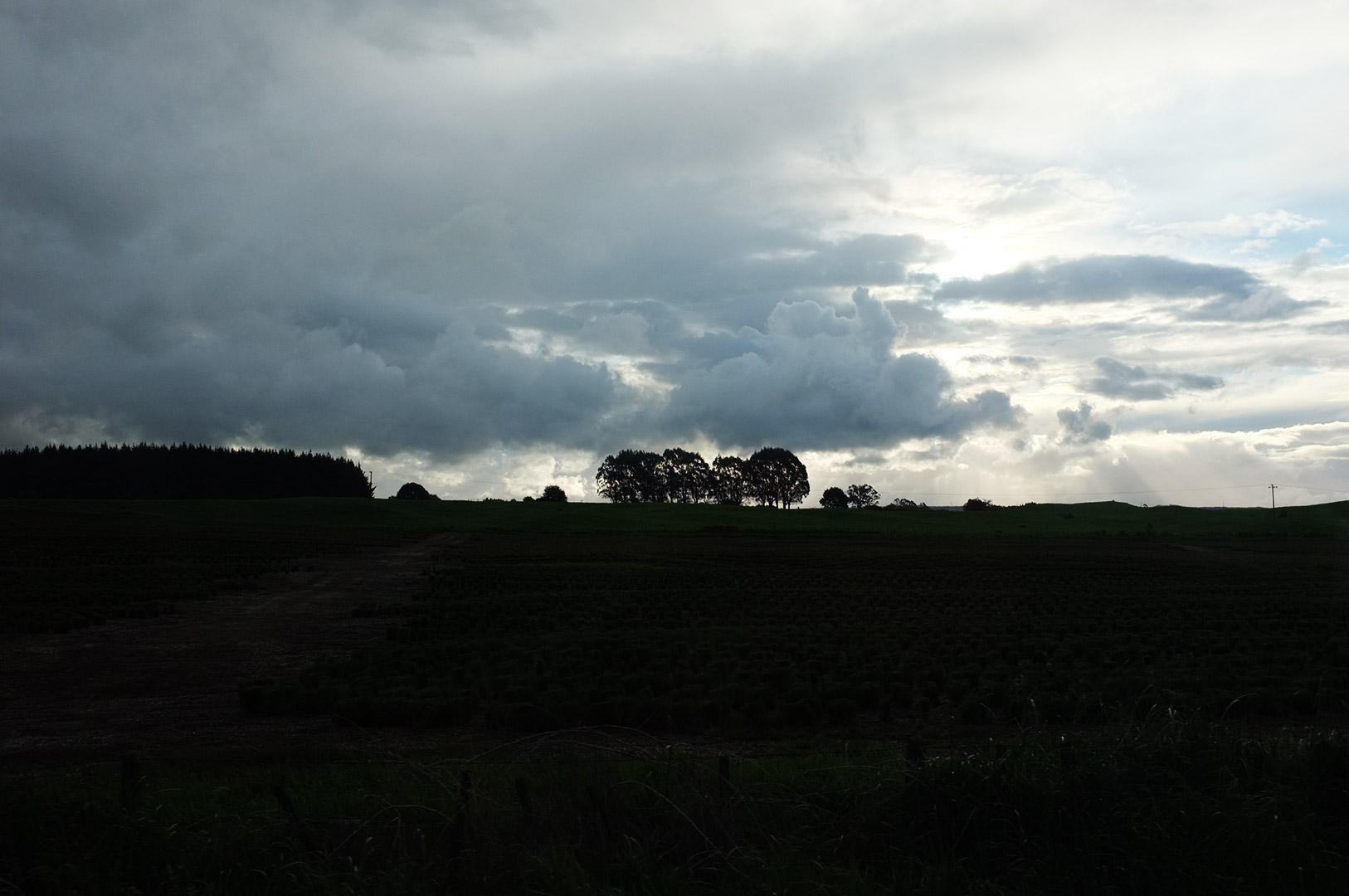 14 Hari Di New Zealand