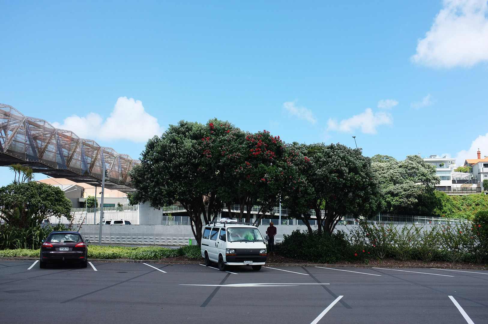 14 Hari Di New Zealand