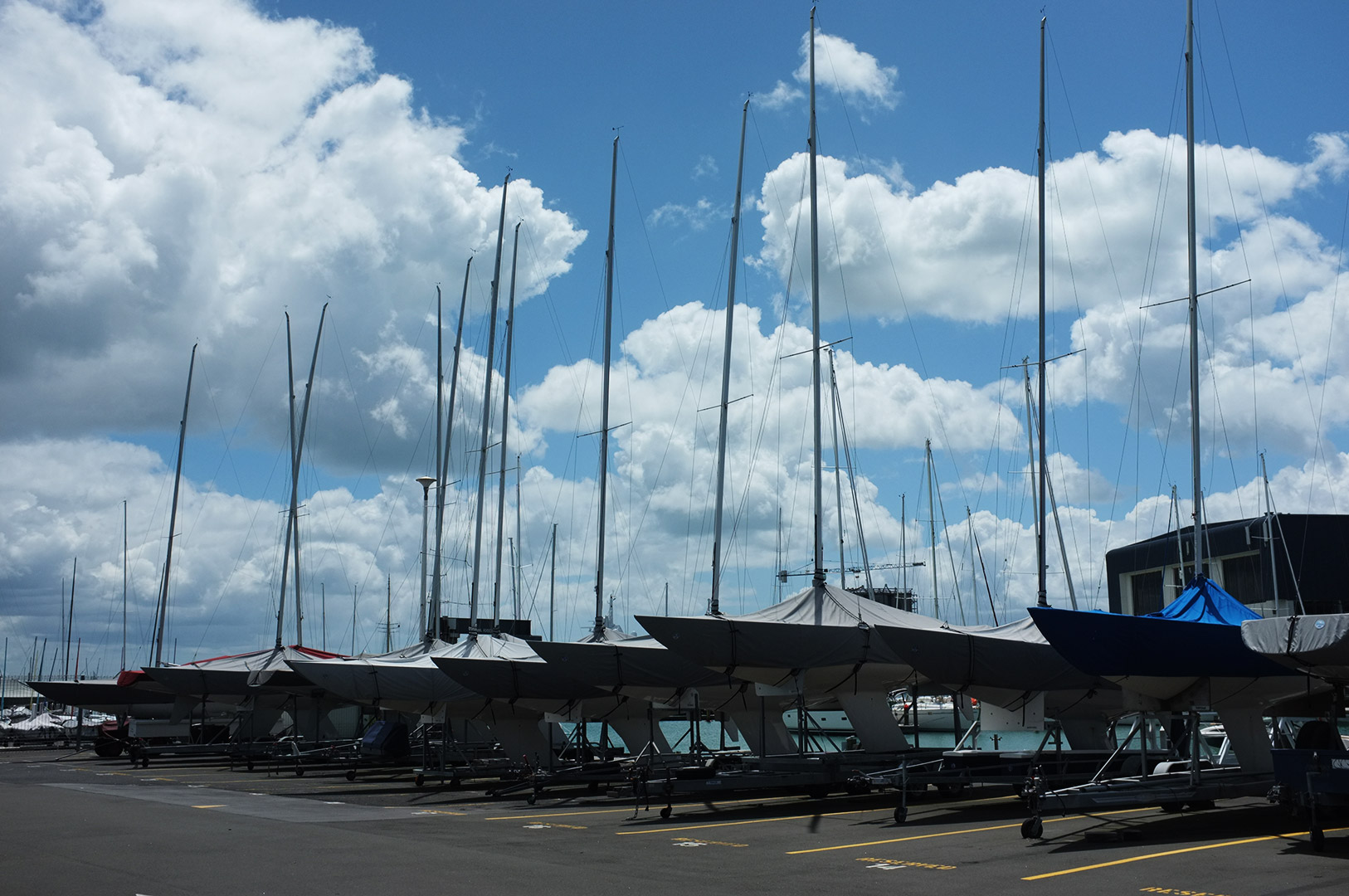 14 Hari Di New Zealand