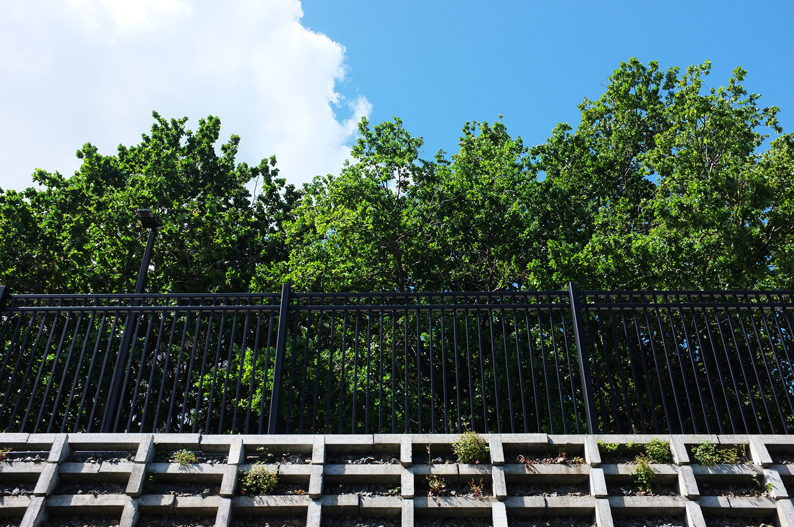 14 Hari Di New Zealand