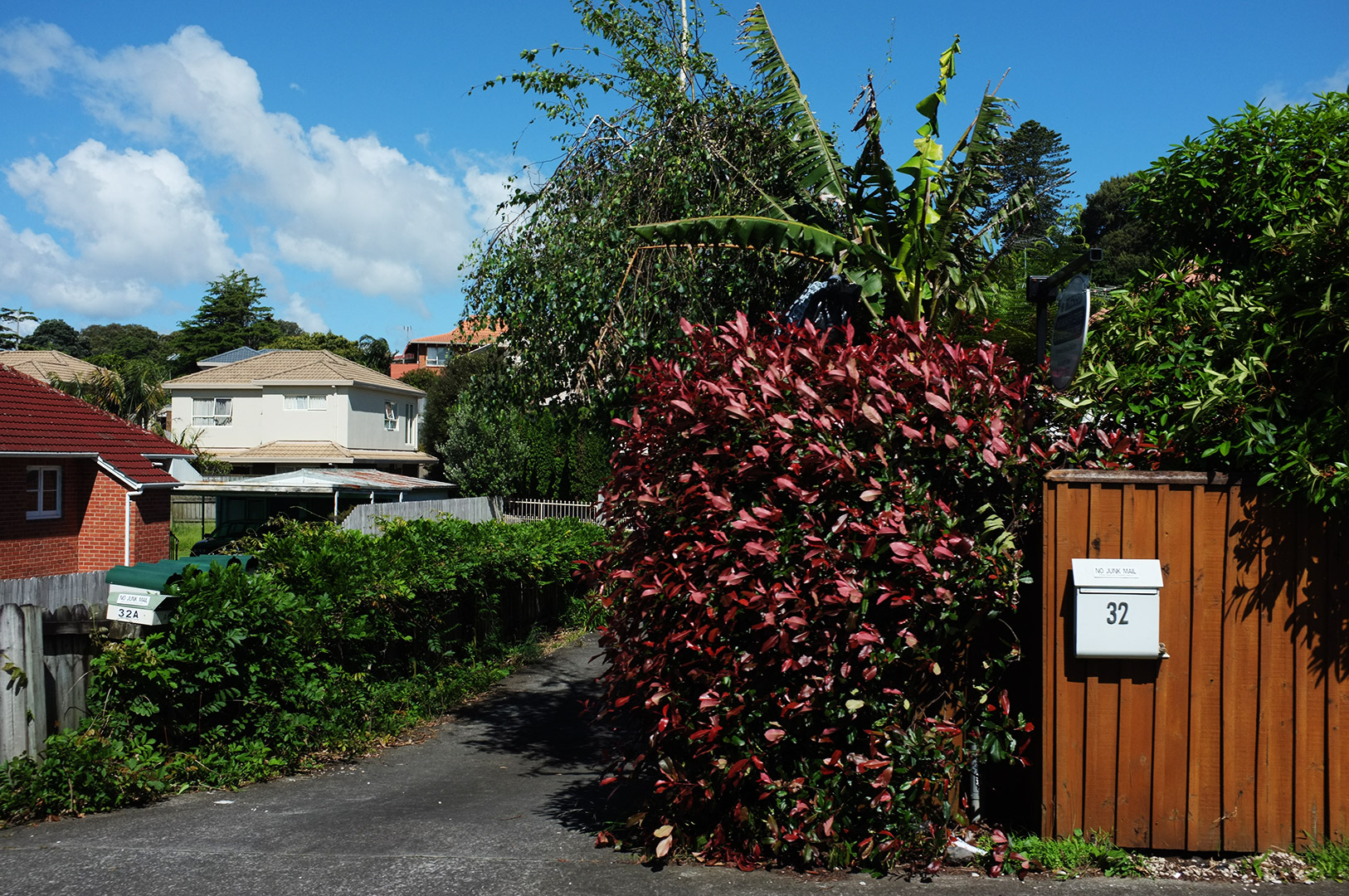 14 Hari Di New Zealand