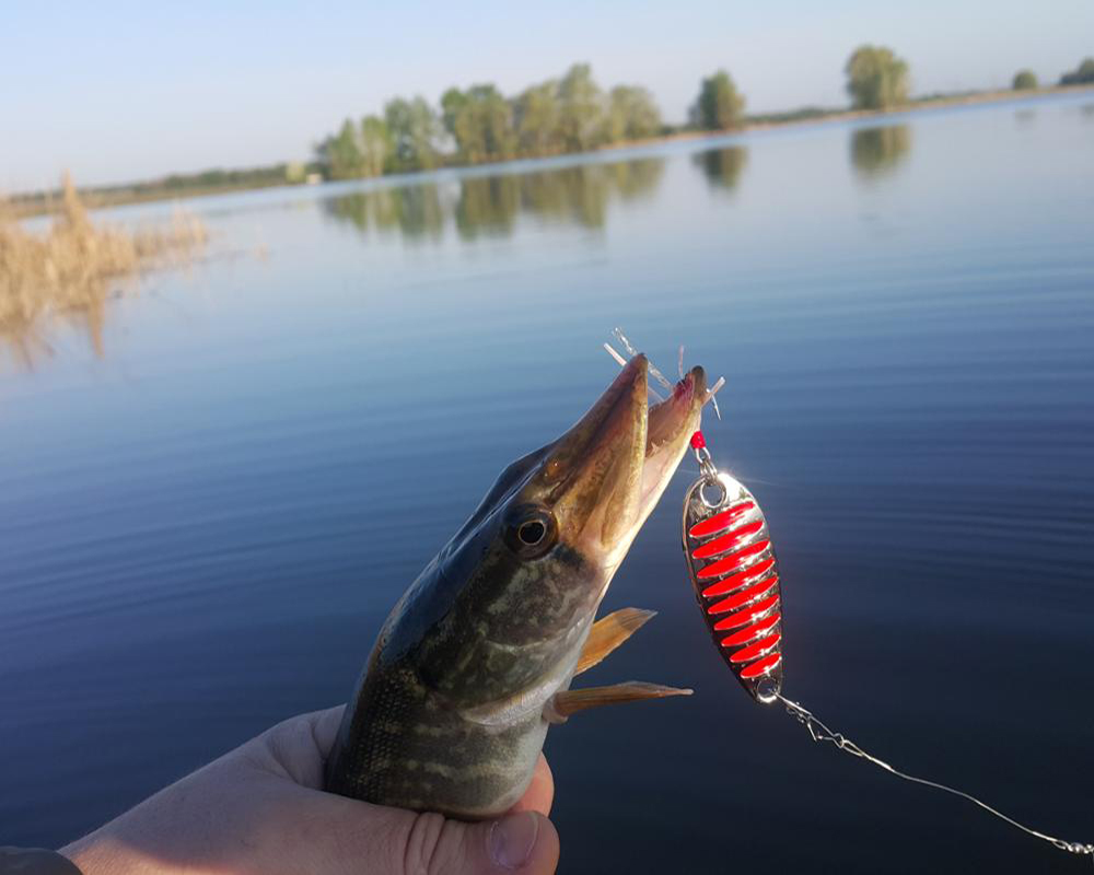 T3609 F WINCHESTER WHIRLEY BIRD FISHING LURE MADE IN USA 1//2 OZ