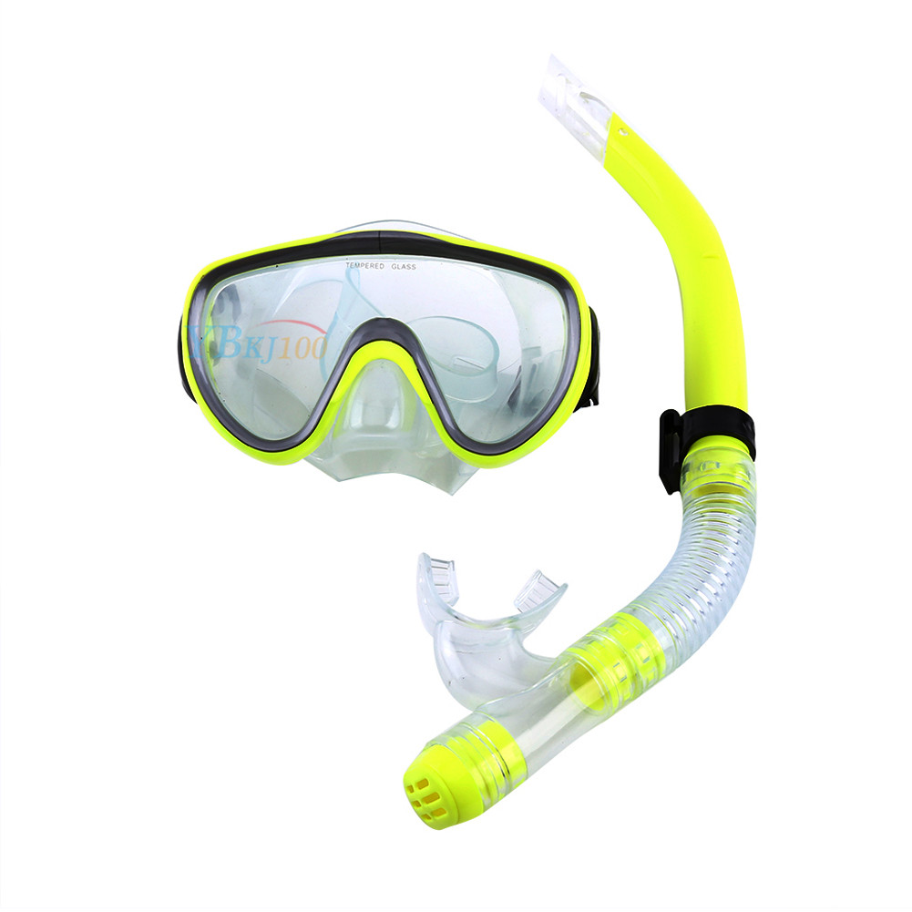 Adult Dive Diving Goggles Mask + Dry Snorkel Set Swimming Scuba