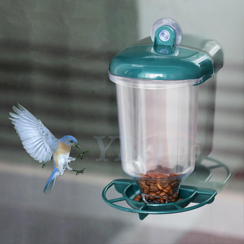 bird feeder suction cup window glass perspex hanging clear bird feeder suction cup window glass perspex hanging clear