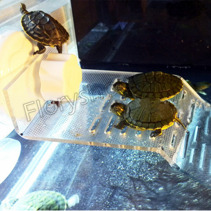 Aquarium Turtle Pier Dock Basking Platform Acrylic Shelf Ramp Fish