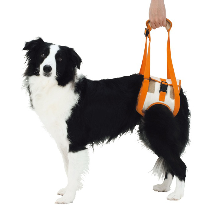 PETIOHind Legs Bottom Up Dog Harness Disabled Pet Arthritis Dysplastic