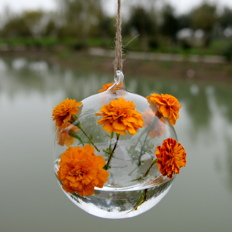 USA Hanging Ball Glass Flower Planter Vase Terrarium Container Landscape Bottles