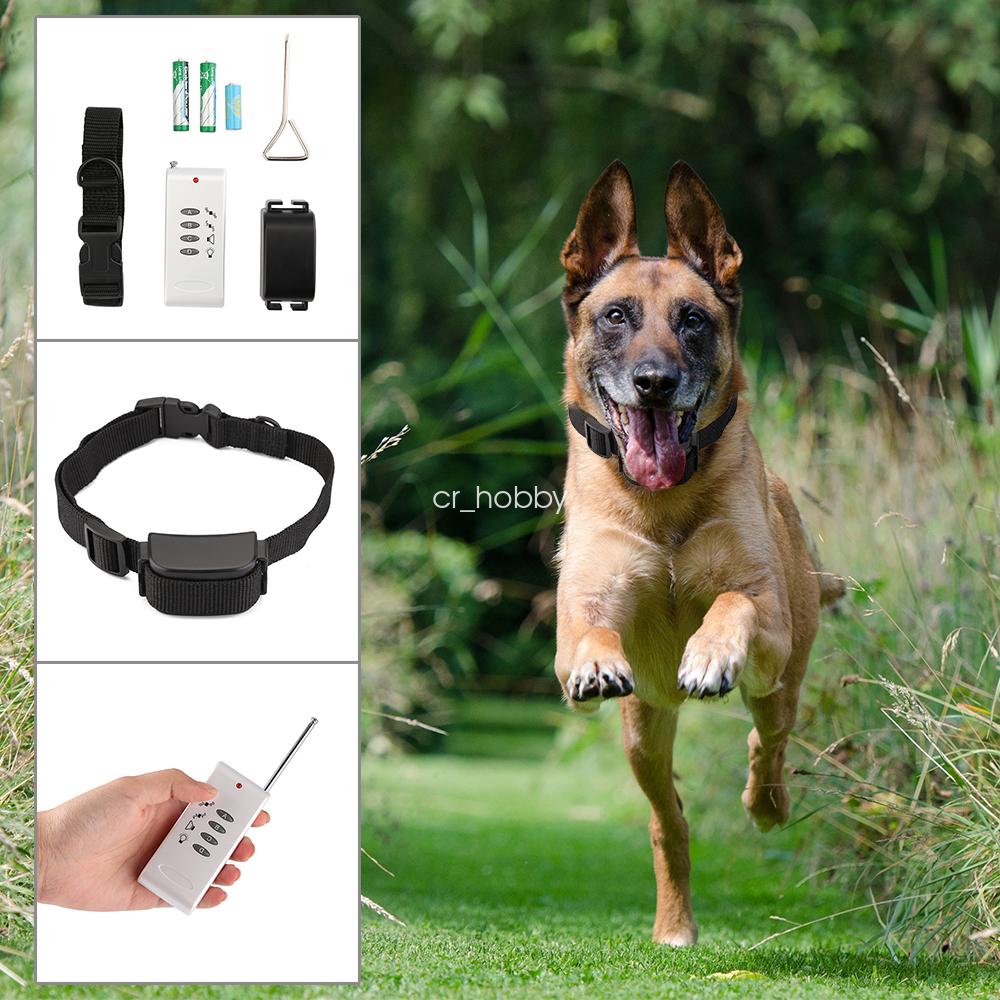 Remote Electronic Dog Collars To Stop Chasing Other Dogs Remote Electronic Dog Collars To Stop Chasing Other Dogs