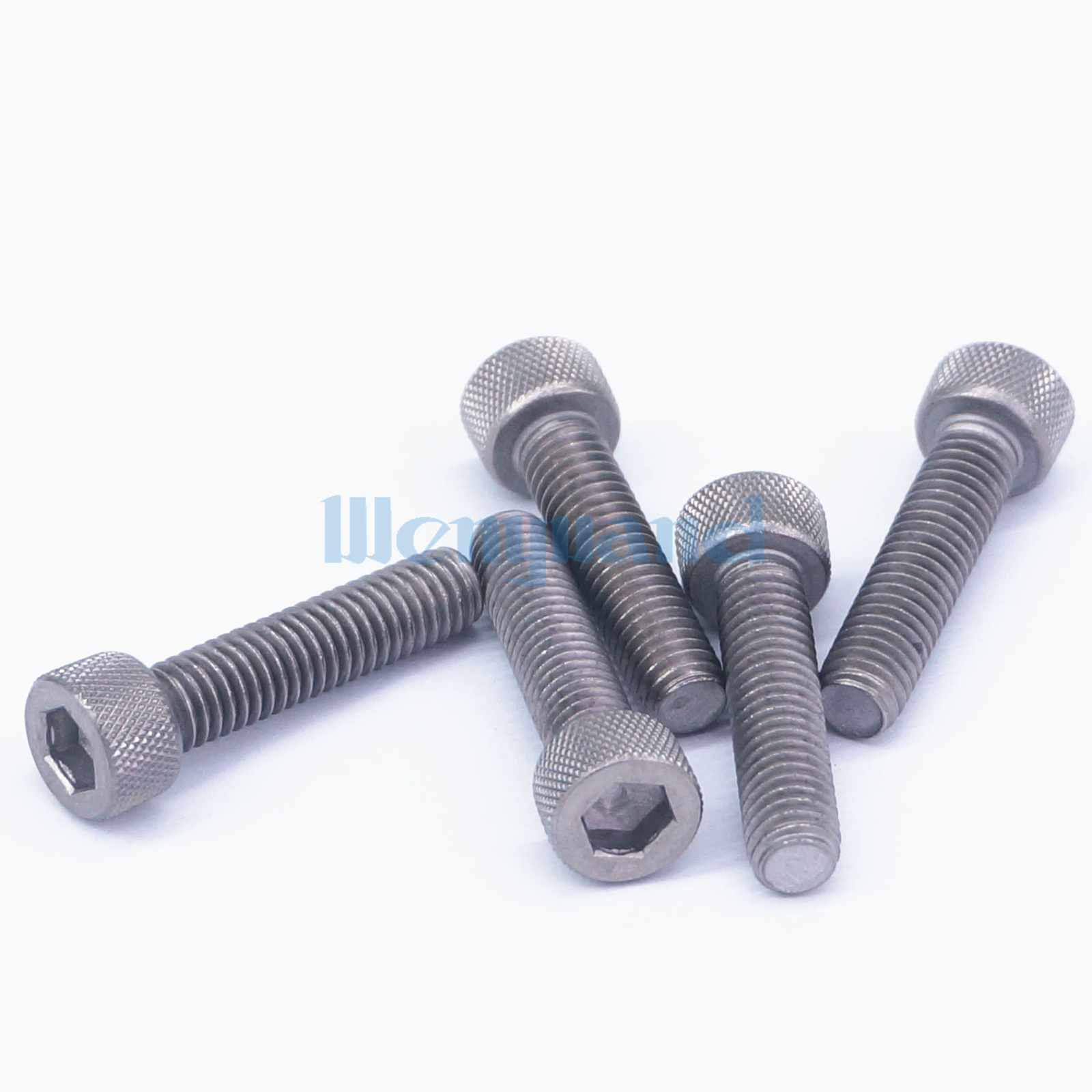 LOT 10 M6 x 45mm GR2 Titanium Hex Socket Head Cap Screw Bolt Anti Acid Corrosion